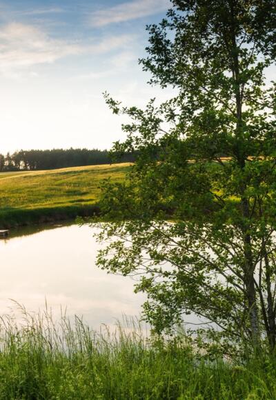 Weiher nahe Feuchtwangen