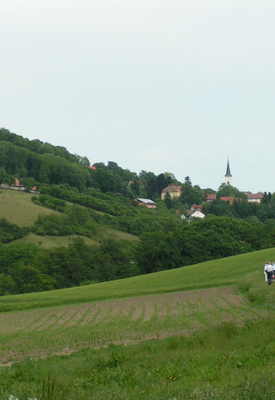 Aufstieg zum Thiergartenhof