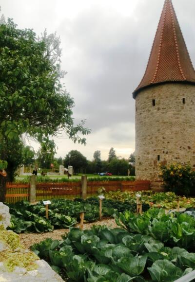 Krautgarten mit Turm