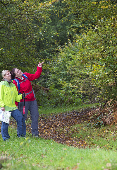 Wandern im RÄUBERLAND