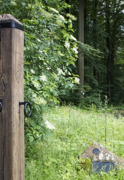 Sagenumwogen Echertspfahl