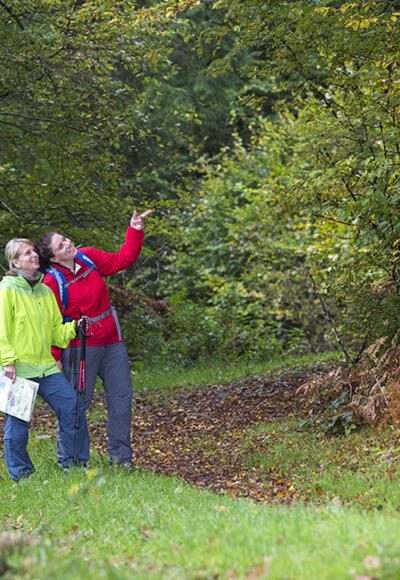 Am Waldsee Heimbuchenthal