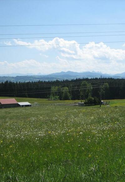 Schöne Wiesen und Panoramablick bei Hellengerst