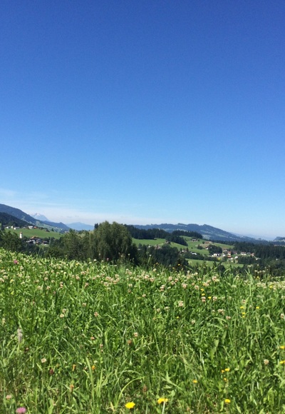 Riefensberg