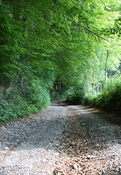 Zum Sachsenrieder Weiher