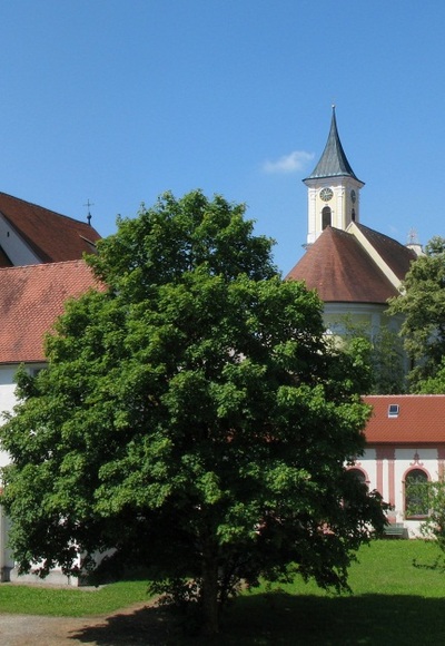 Reichskartause Buxheim