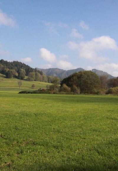 Landschaft kurz vor Großholzleute