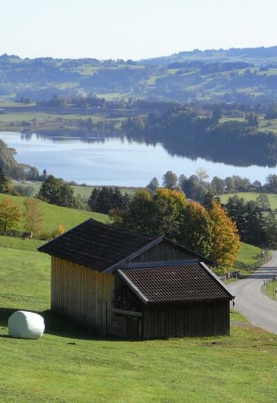 Der Niedersonthofener See
