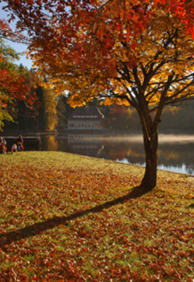 src_99043991-0.jpg