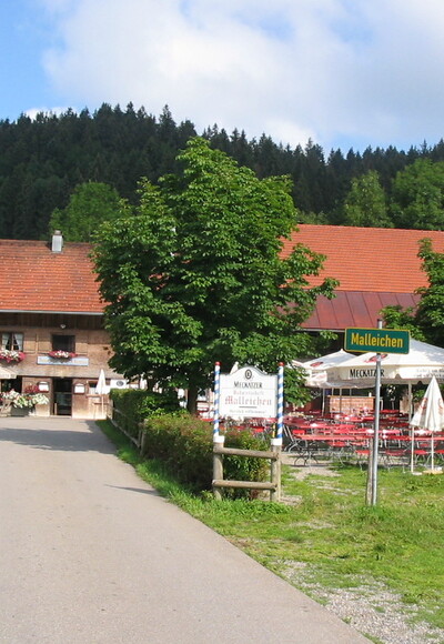 Malleichen