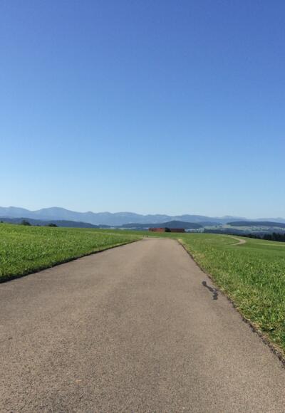 Isnyberg mit Blick auf die Allgäuer Alpen