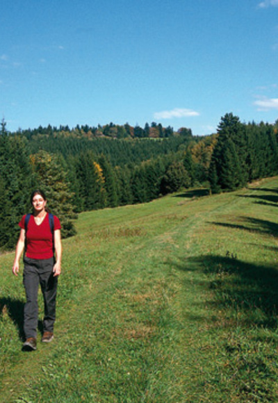 src_99043994-0.jpg