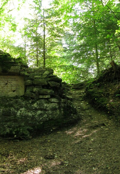 Ruine Hohenegg