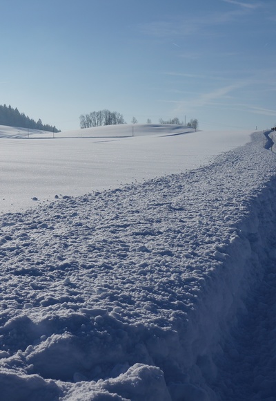 Winterlandschaft Richtung Altringenberg