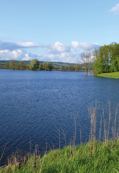 Goldbergsee Coburg im Sommer