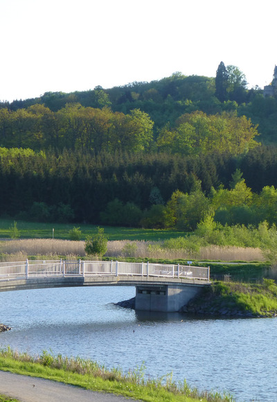 Goldbergsee Coburg mit Blick auf Schloss Callenberg