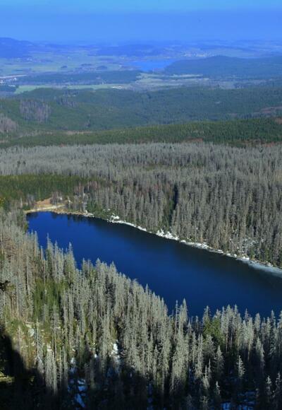 Plešné jezero