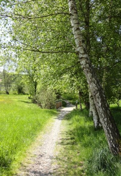 Radwegstück entlang des Waldbahn-Radweges 