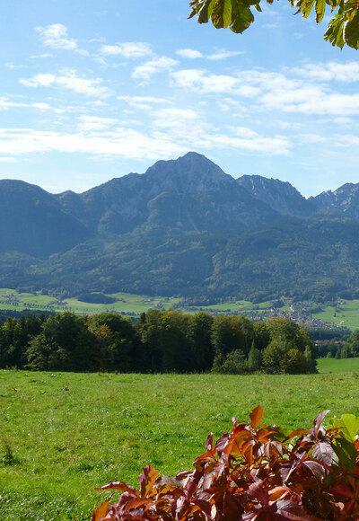 Blick von der Stroblalm auf das Bergmassiv