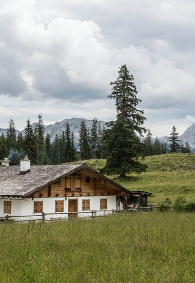 Kühroint Alm