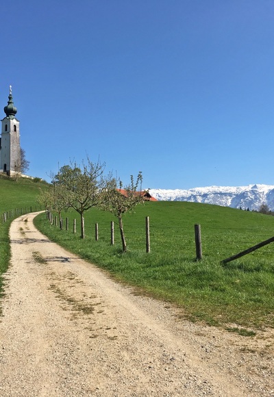 Ausblick am Johannishögl