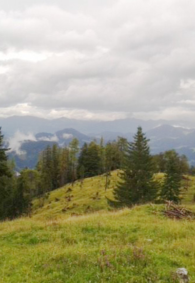 Aussicht auf die Umgebung von Bischofswiesen