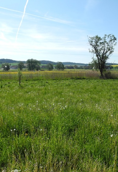 Landschaft im Labertal
