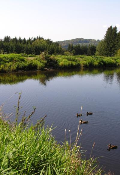 Großarmschlager Stausee