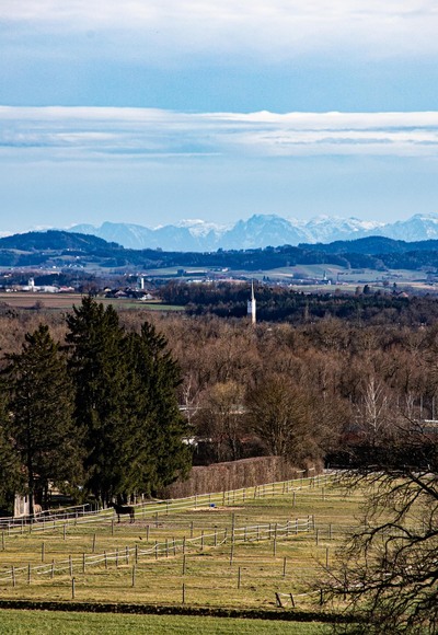Malching mit Alpenpanorama