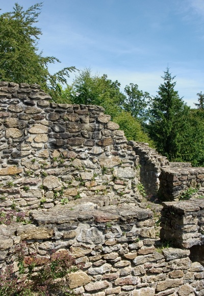 Ruine Altnußberg