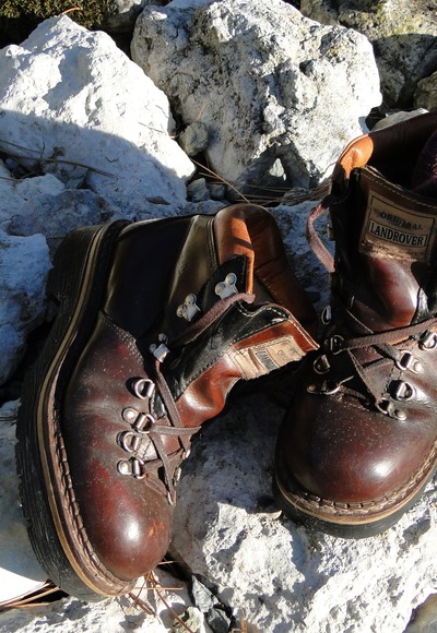 Wandern ab Drachselried
