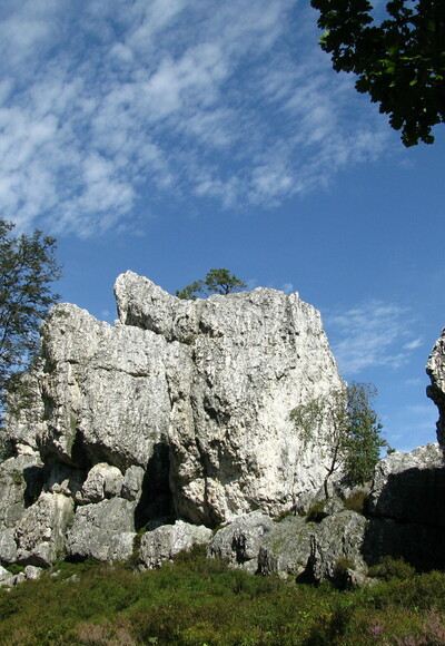Pfahl Viechtach