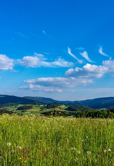 Kollnburg-Blick auf Kollnburg