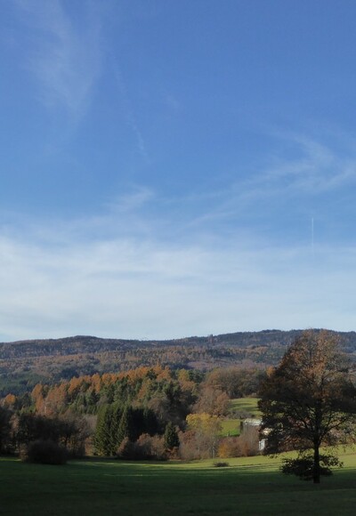 Aussicht auf Saulburg