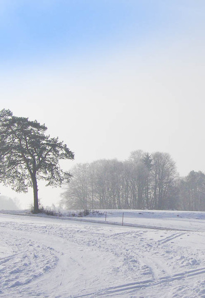 Ein Wintertraum