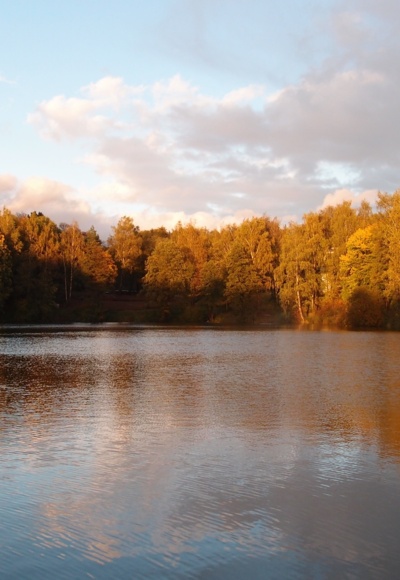 Lettenbachsee
