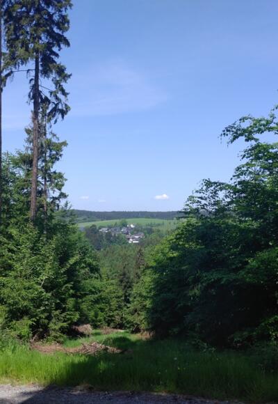 Blick auf Titschendorf