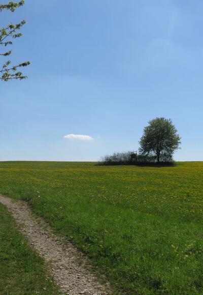 von der Pulvermühle über die weiße Marter nach Doos
