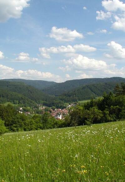 Sattes Grün und weite Täler