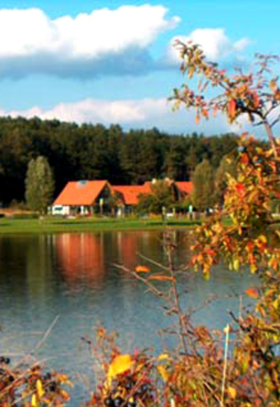 Blick auf den Rothsee, dahinter grüne Wälder, davor gelb- braune Büsche.