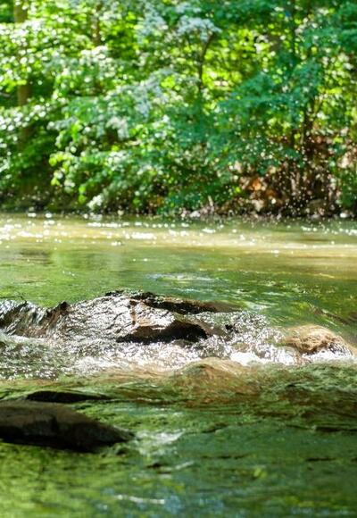 Fluss Roth