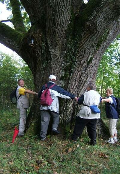 Natur pur genießt man bei der Spalter Hügelland-Tour.