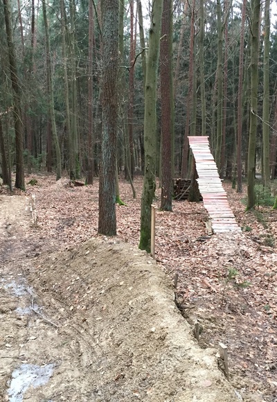 Sprungschanze für Biker im Wald