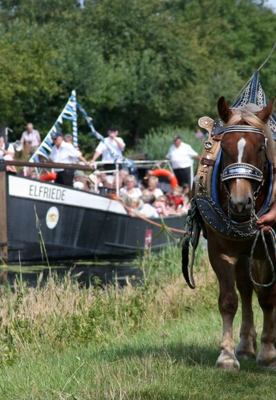 Treideln mit der Elfriede auf dem Ludwig-Donau-Main-Kanal