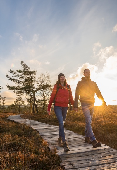Unterwegs auf dem Bohlenpfad im Schwarzen Moor