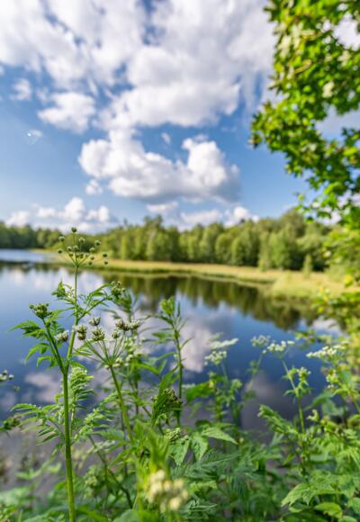 Moorsee am Roten Moor