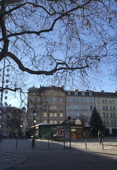 Der Wiener Platz