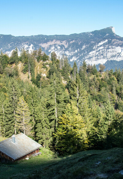 Die Mitterkaser Alm im Lattengebirge