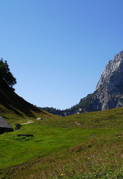 Halsalm
