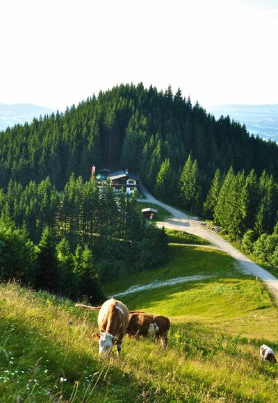 Blick vom Tegelberg zur Rohrkopfhütte